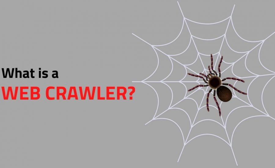 What is a Web Crawler?