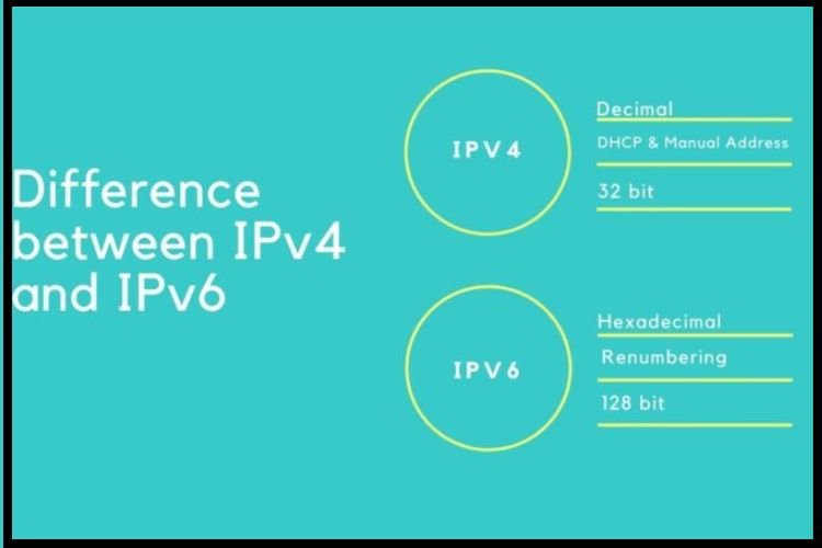 IPv4 and IPv6