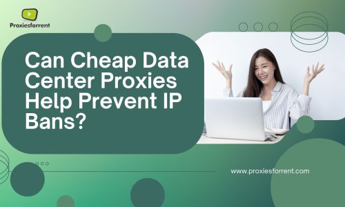 Can Cheap Data Center Proxies Help Prevent IP Bans?