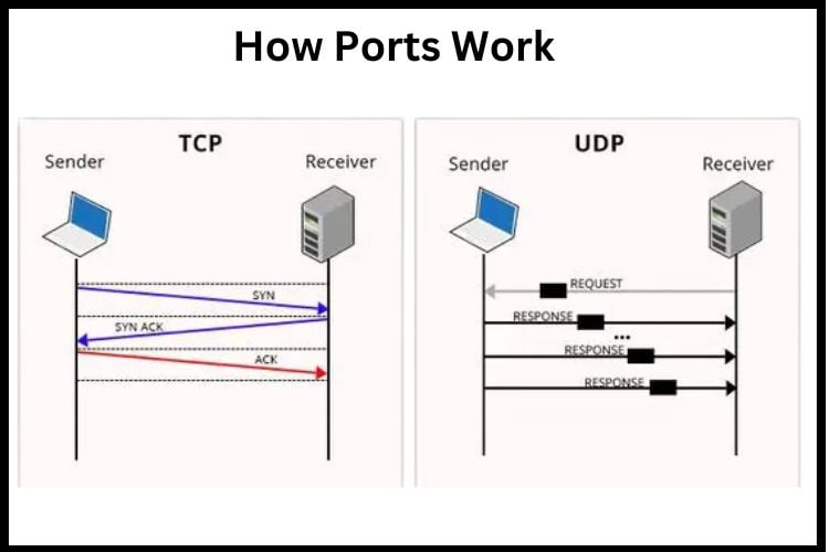 TCP/UDP Ports