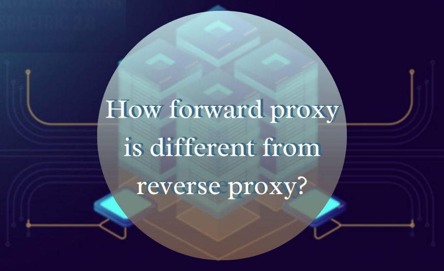 Forward and reverse proxy