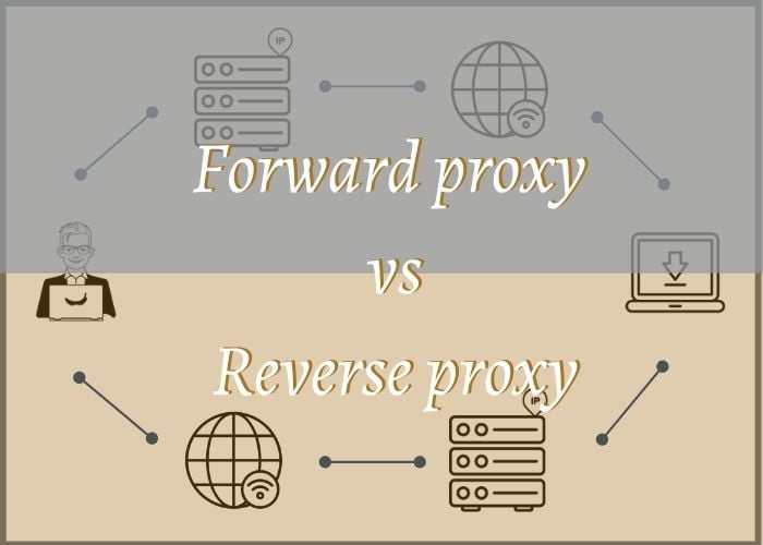 reverse proxy