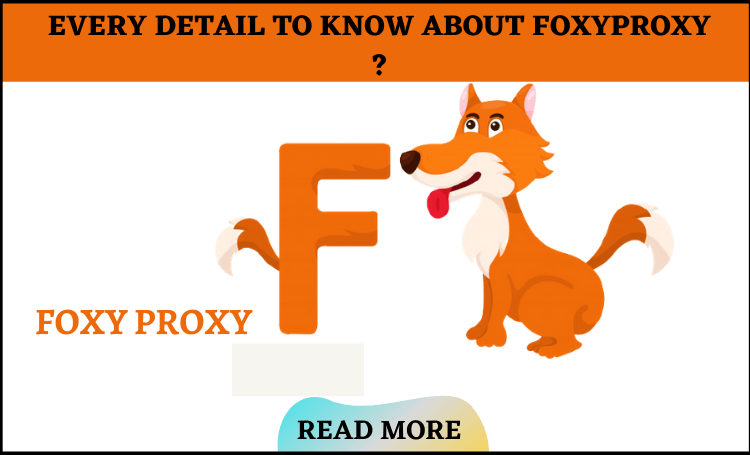Every Detail To Know About the FoxyProxy