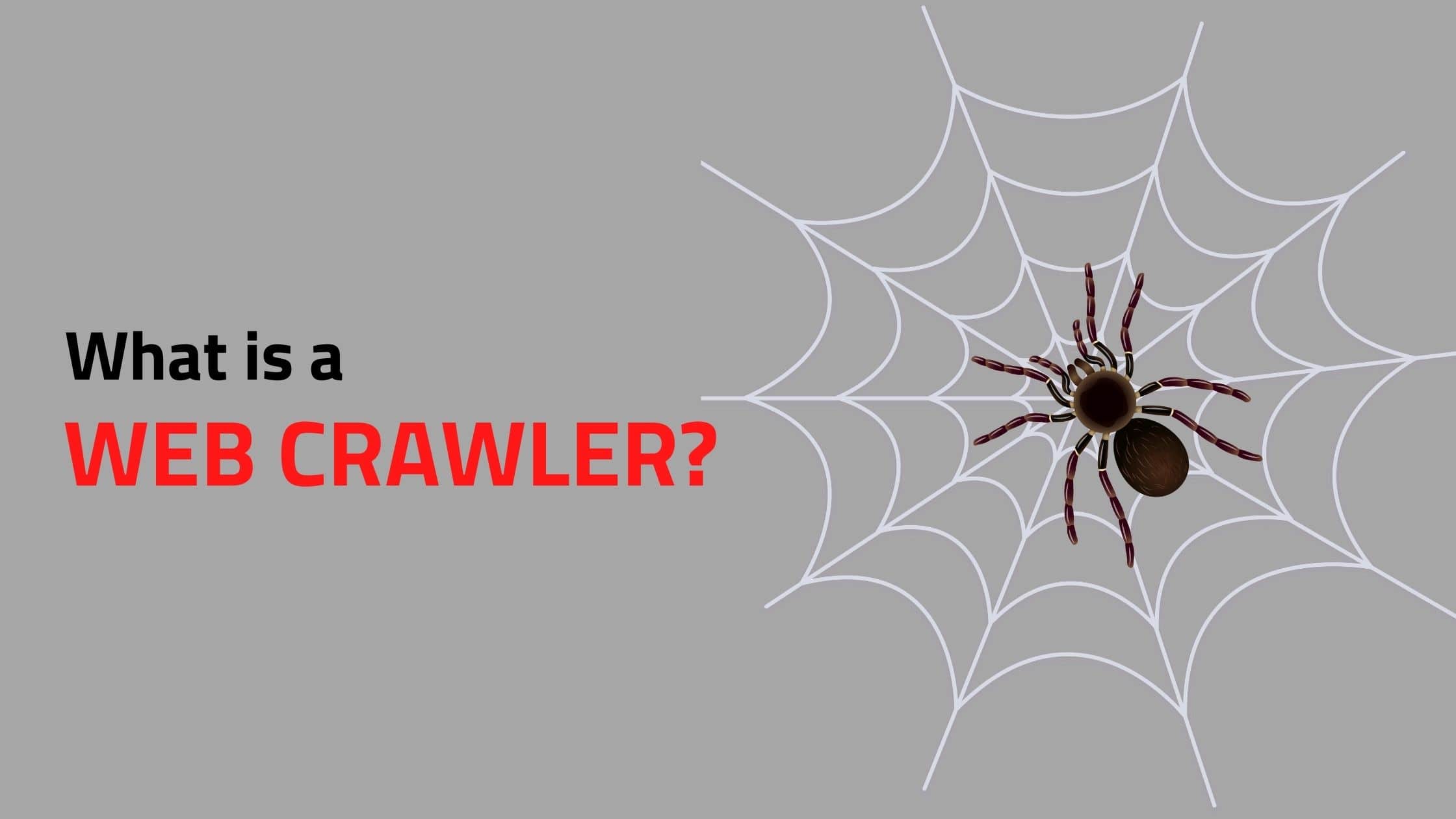 what-is-a-web-crawler-proxiesforrent