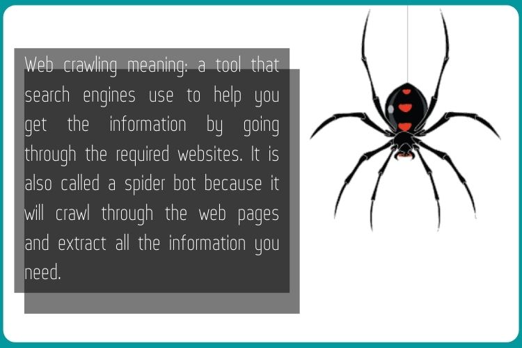 What is a web crawler?