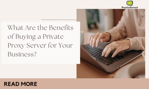 What Are the Benefits of Buying a Private Proxy Server for Your Business?