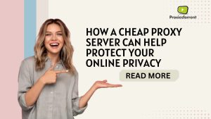 A cheap proxy server offers the same essential features as expensive ones but at a fraction of the cost.