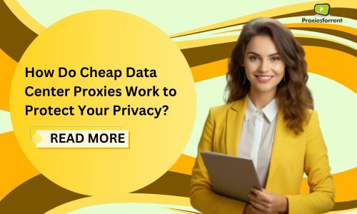 How Do Cheap Data Center Proxies Work to Protect Your Privacy?